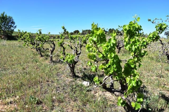 Finca/Landhuis te koop in Valderrobres - € 35.000 (Ref: 9150287)