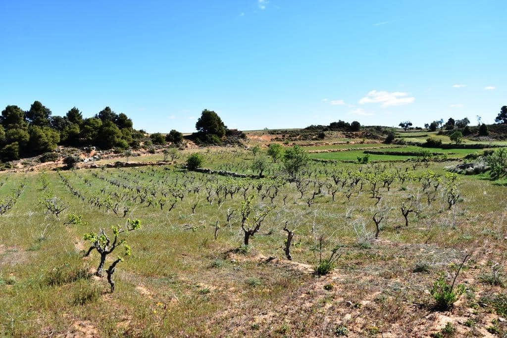 Finca/Landehus til salg i Valderrobres - € 35.000 (Ref: 9150287)