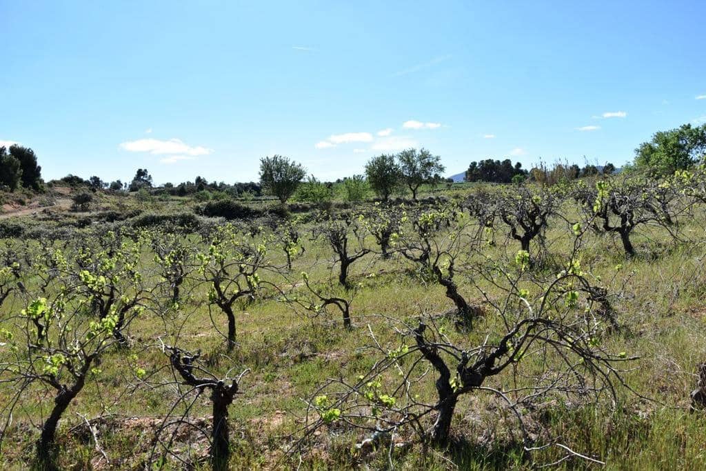Finca/Landehus til salg i Valderrobres - € 35.000 (Ref: 9150287)