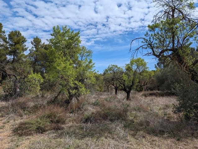 Finca/Herregård til salgs i Valderrobres - € 28 000 (Ref: 9150288)