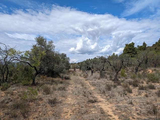 Finca/Herregård til salgs i Valderrobres - € 28 000 (Ref: 9150288)