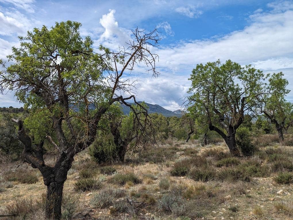 Finca/Country House for sale in Valderrobres - € 28,000 (Ref: 9150288)