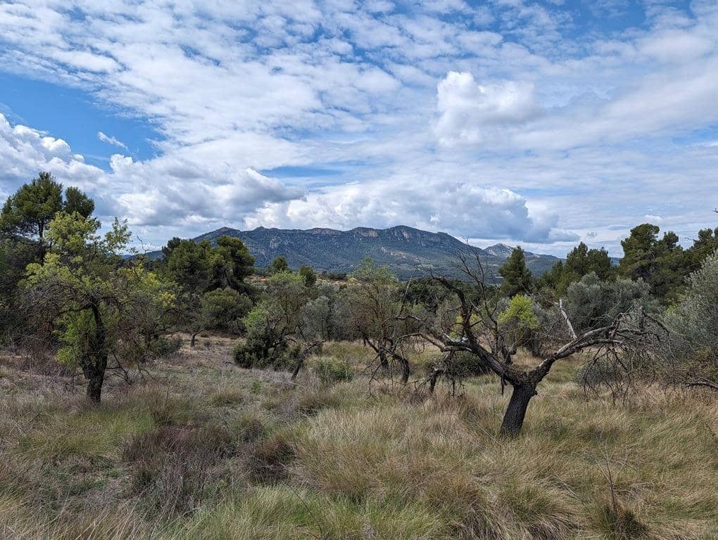 Finca/Country House for sale in Valderrobres - € 28,000 (Ref: 9150288)