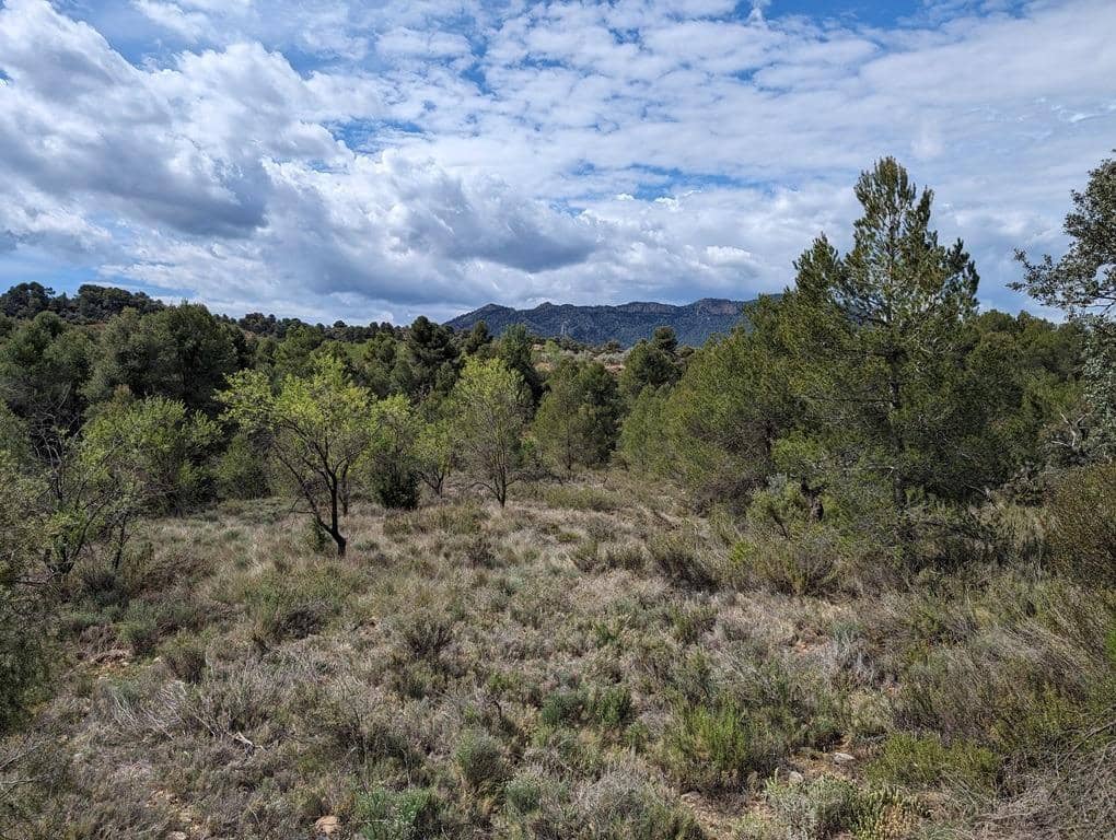 Finca/Country House for sale in Valderrobres - € 28,000 (Ref: 9150288)