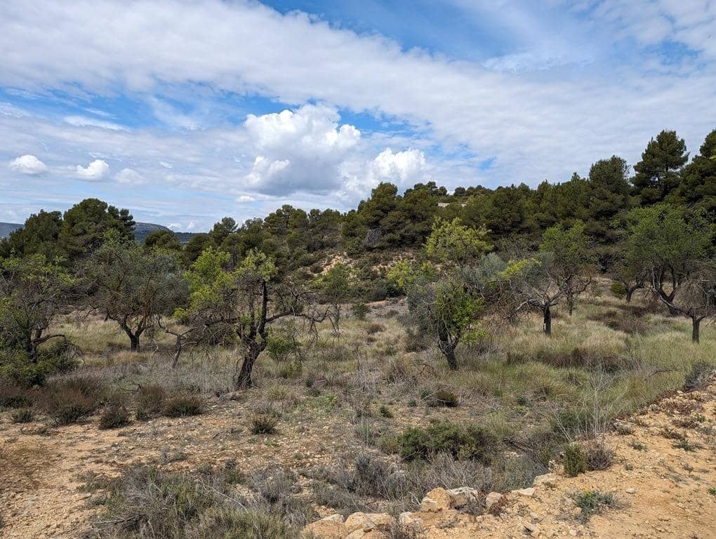 Finca/Country House for sale in Valderrobres - € 28,000 (Ref: 9150288)