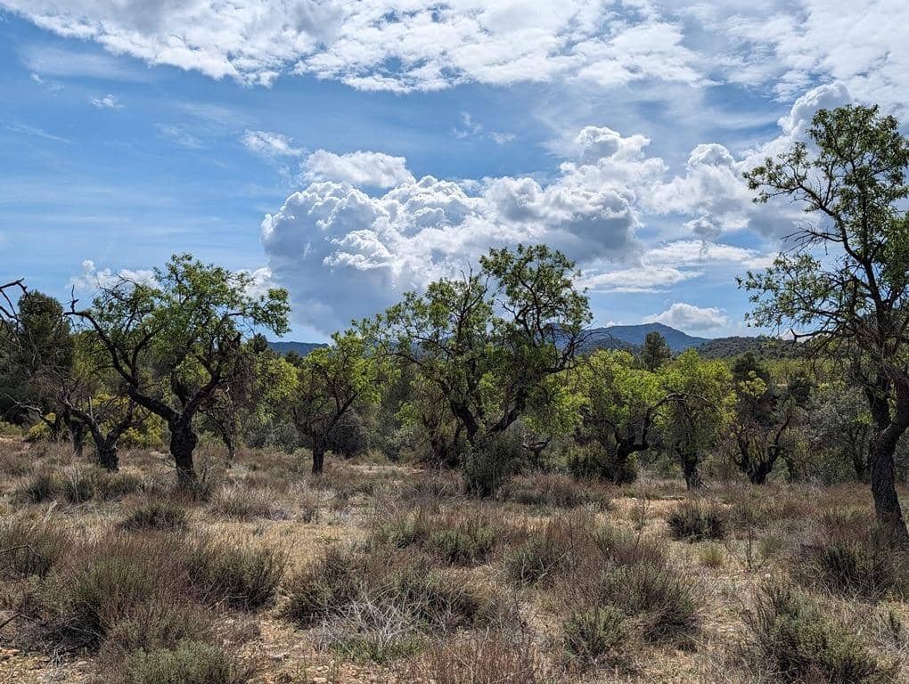 Finca/Country House for sale in Valderrobres - € 28,000 (Ref: 9150288)