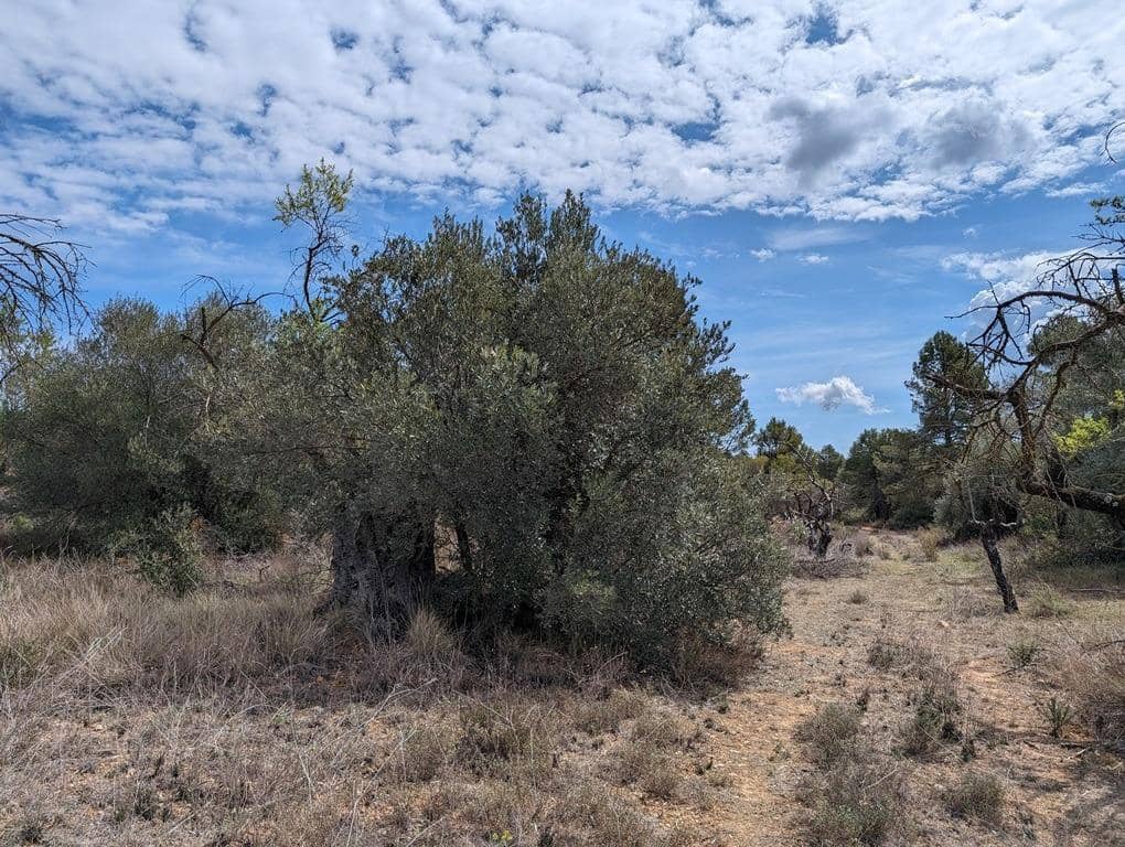 Finca/Country House for sale in Valderrobres - € 28,000 (Ref: 9150288)