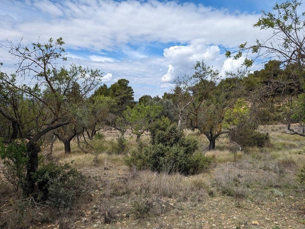 Finca/Country House for sale in Valderrobres - € 28,000 (Ref: 9150288)