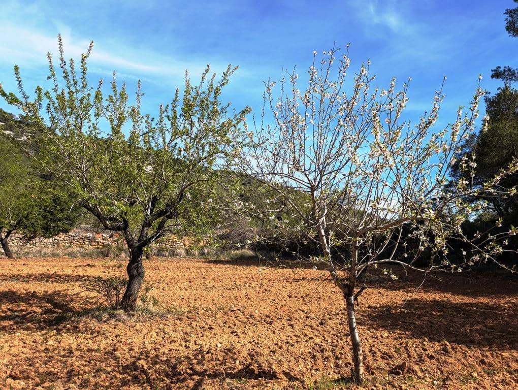 Quinta/Casa Rural para venda em Fuentespalda - 85 000 € (Ref: 9150290)