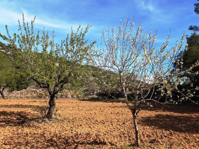 Finca/Landehus til salg i Fuentespalda - € 85.000 (Ref: 9150290)