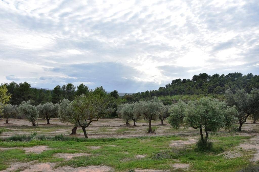 2 chambre Finca/Maison de Campagne à vendre à Horta de Sant Joan - 71 500 € (Ref: 9150291)