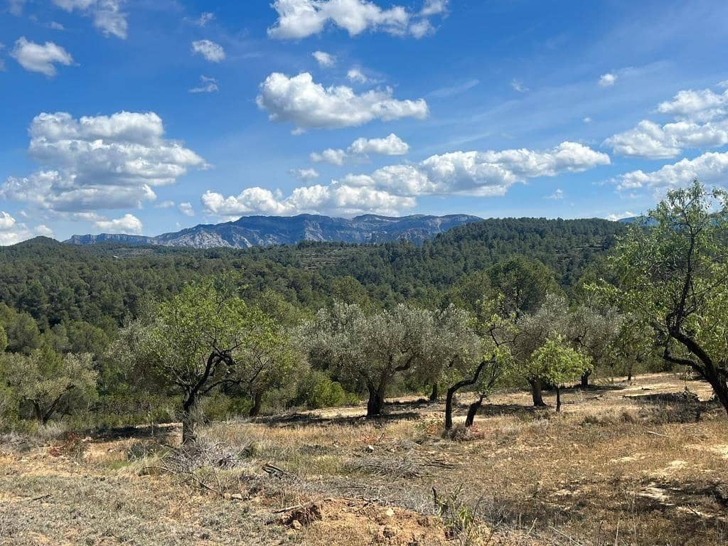2 chambre Finca/Maison de Campagne à vendre à Horta de Sant Joan - 71 500 € (Ref: 9150291)