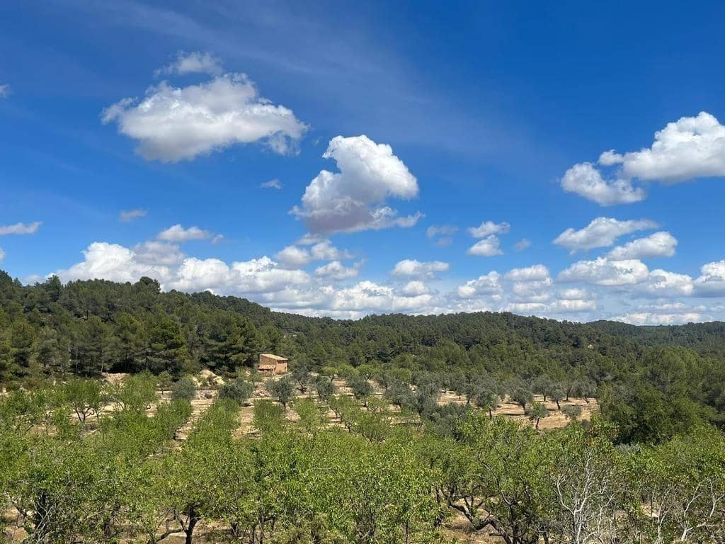 2 chambre Finca/Maison de Campagne à vendre à Horta de Sant Joan - 71 500 € (Ref: 9150291)