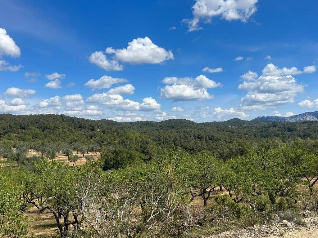 2 chambre Finca/Maison de Campagne à vendre à Horta de Sant Joan - 71 500 € (Ref: 9150291)