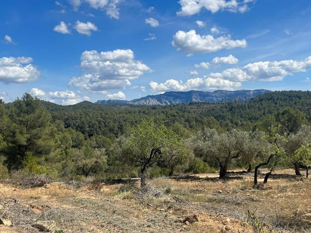 2 chambre Finca/Maison de Campagne à vendre à Horta de Sant Joan - 71 500 € (Ref: 9150291)