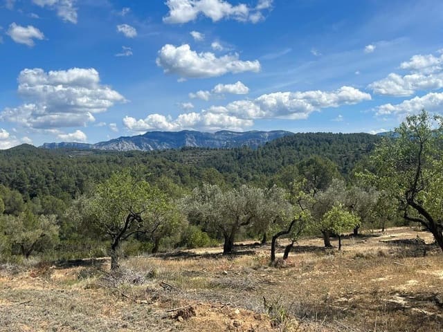 2 bedroom Finca/Country House for sale in Horta de Sant Joan - € 71,500 (Ref: 9150291)