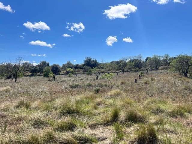 Finca/Landgut zu verkaufen in Arens de Lledó - 6.000 € (Ref: 9150292)