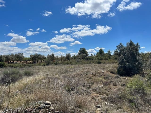 Finca/Landgut zu verkaufen in Arens de Lledó - 6.000 € (Ref: 9150292)