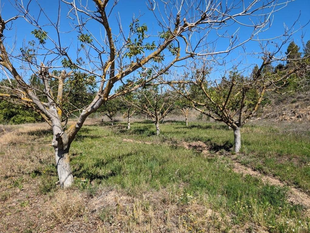 1 soveværelse Finca/Landehus til salg i Valderrobres - € 65.000 (Ref: 9150293)