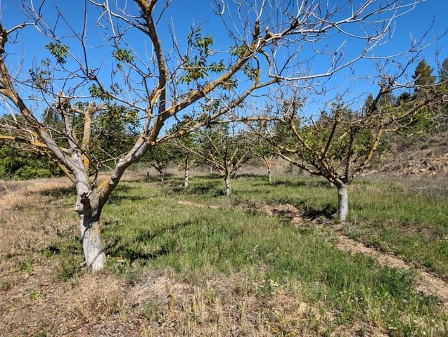 Finca/Casa Rural de 1 habitación en Valderrobres en venta - 65.000 € (Ref: 9150293)