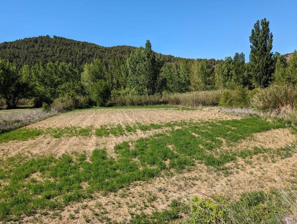 1 soveværelse Finca/Landehus til salg i Valderrobres - € 65.000 (Ref: 9150293)