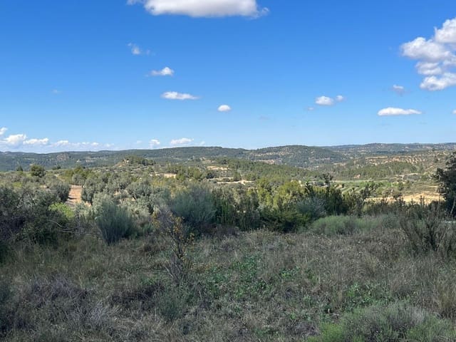 Finca/Landehus til salg i Calaceite - € 5.000 (Ref: 9150295)