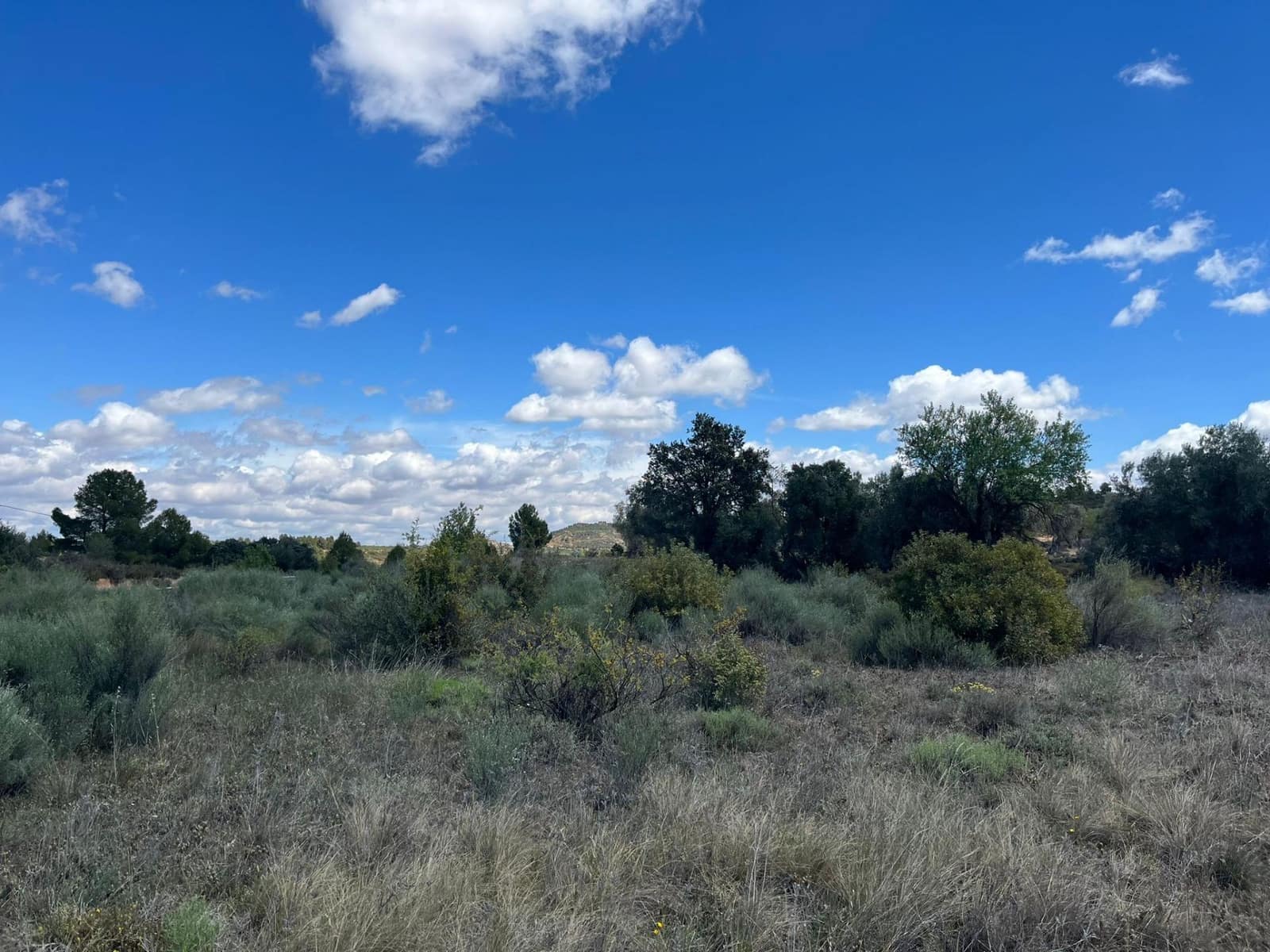 Finca/Landhuis te koop in Calaceite - € 5.000 (Ref: 9150295)