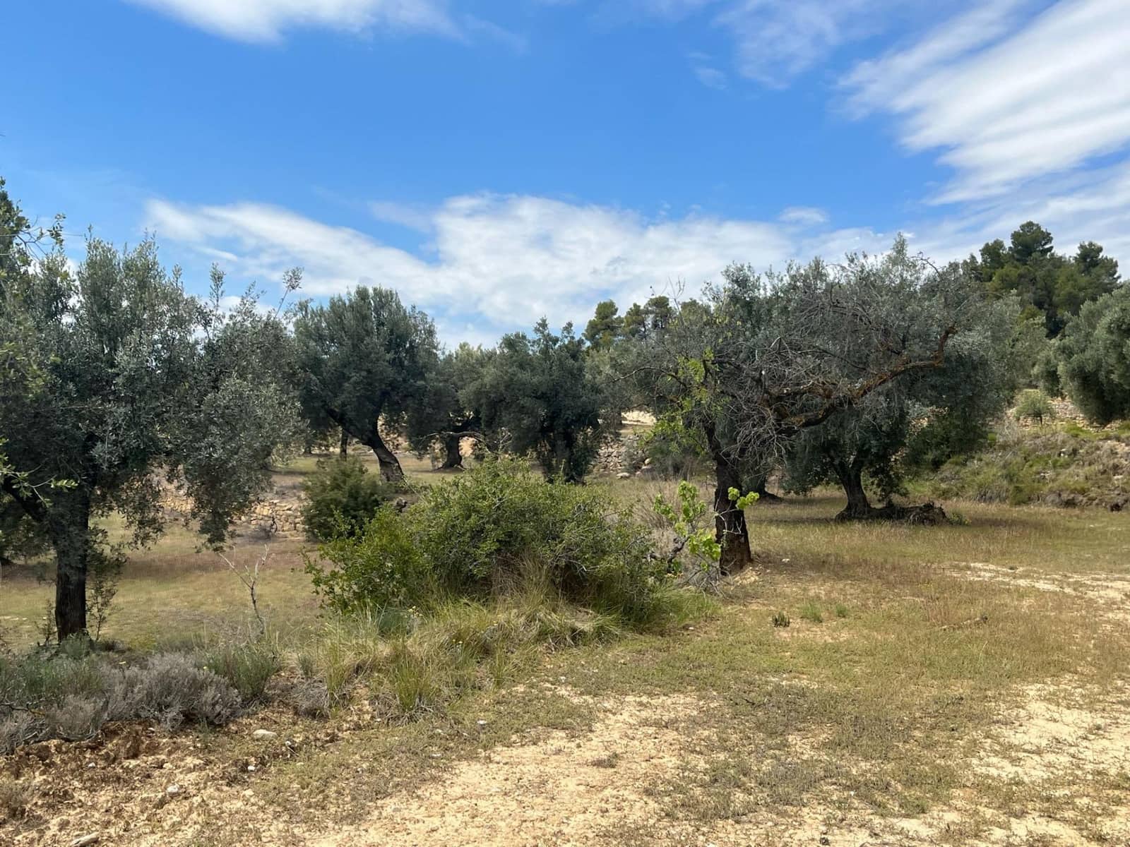 Finca/Herregård til salgs i Cretas - € 6 815 (Ref: 9150298)