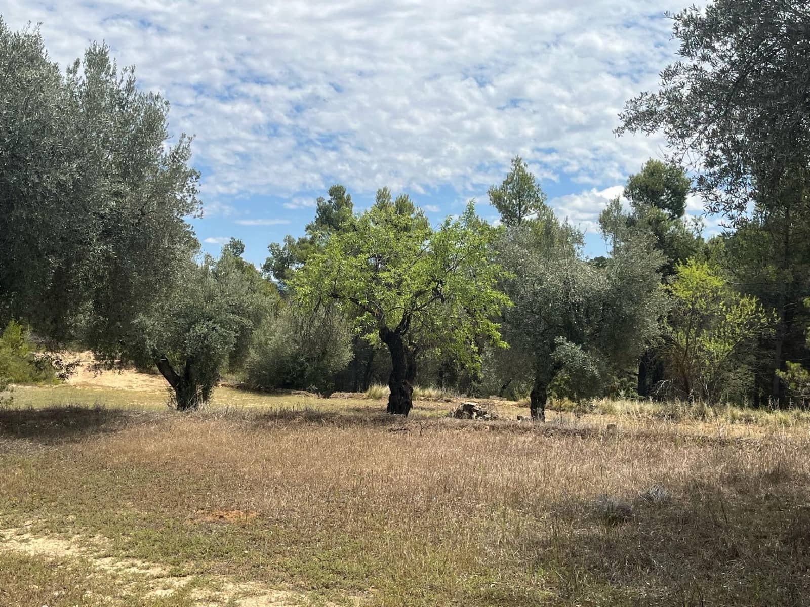 Finca/Herregård til salgs i Cretas - € 6 815 (Ref: 9150298)