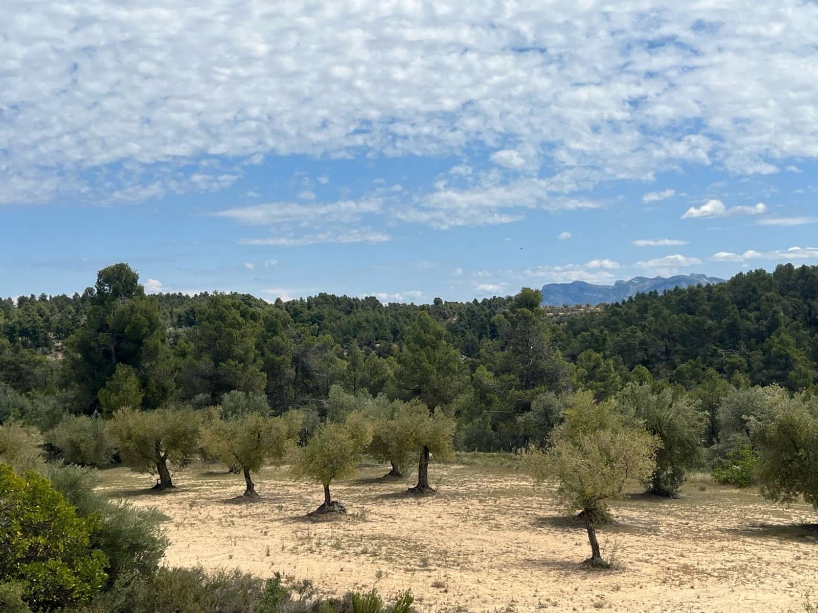 Finca/Herregård til salgs i Cretas - € 6 815 (Ref: 9150298)