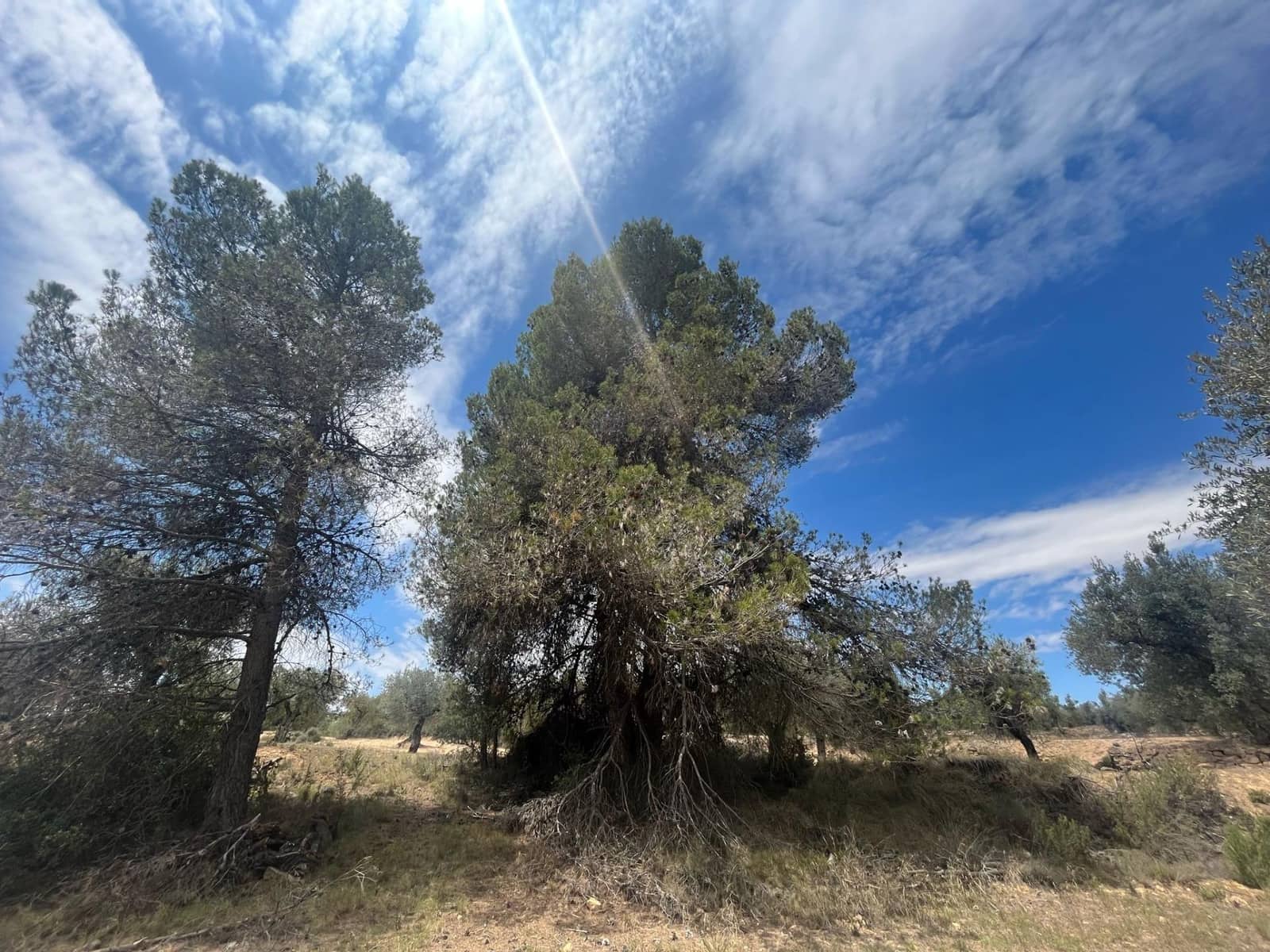 Finca/Herregård til salgs i Cretas - € 6 815 (Ref: 9150298)