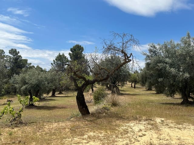 Finca/Landehus til salg i Cretas - € 6.815 (Ref: 9150298)