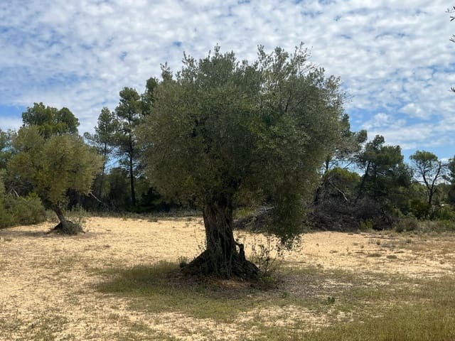 Finca/Landehus til salg i Cretas - € 6.815 (Ref: 9150298)