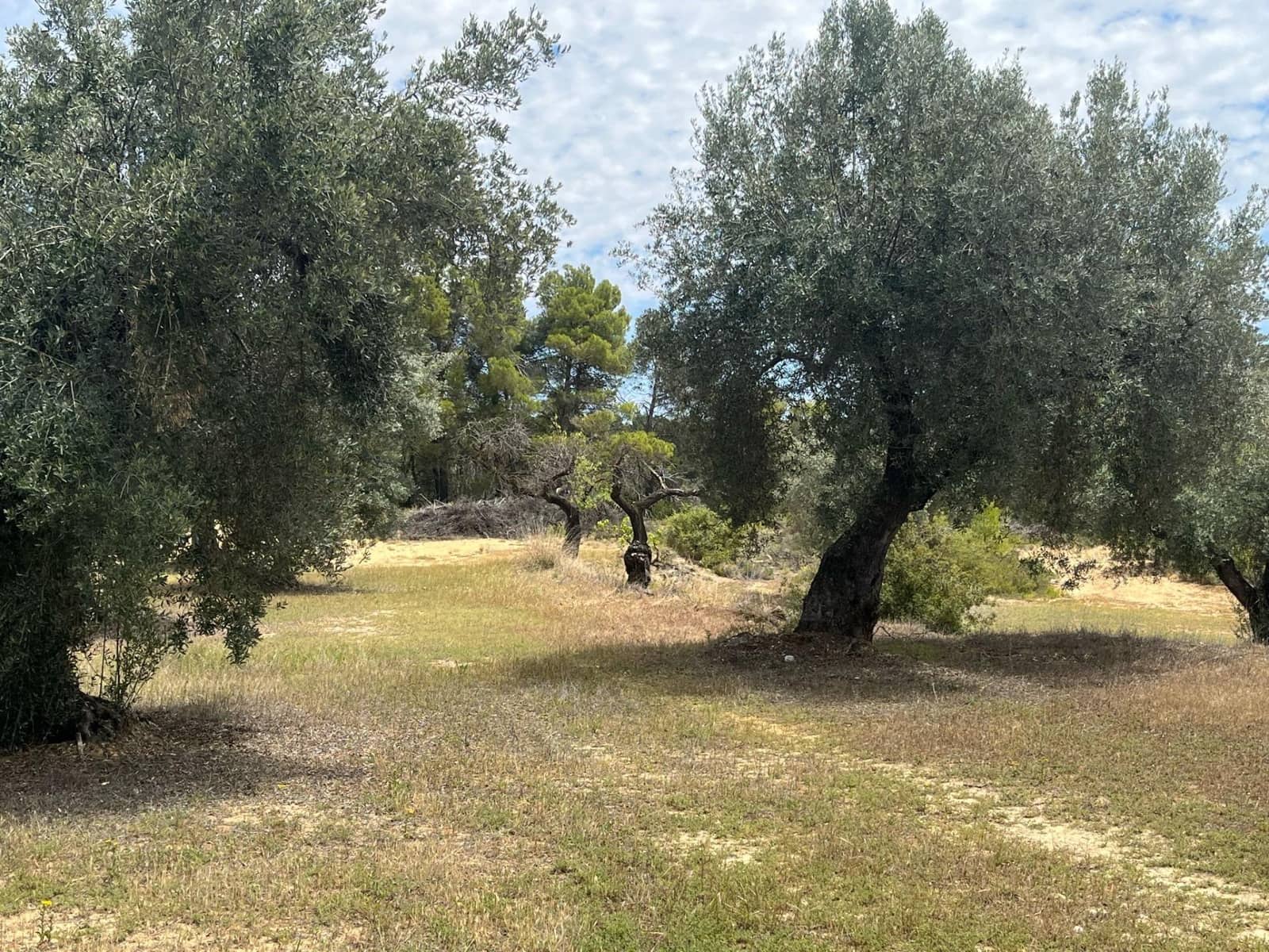 Finca/Herregård til salgs i Cretas - € 6 815 (Ref: 9150298)