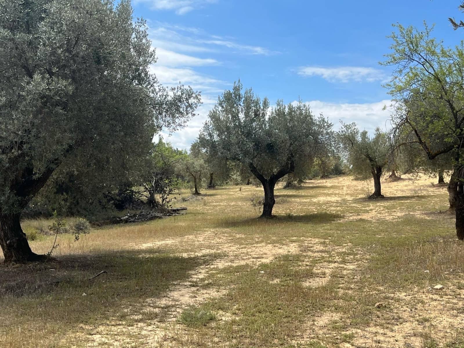 Finca/Herregård til salgs i Cretas - € 6 815 (Ref: 9150298)