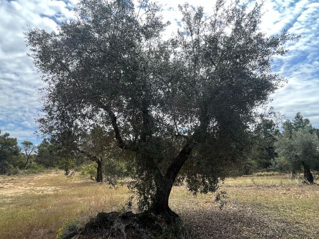 Finca/Landehus til salg i Cretas - € 6.815 (Ref: 9150298)