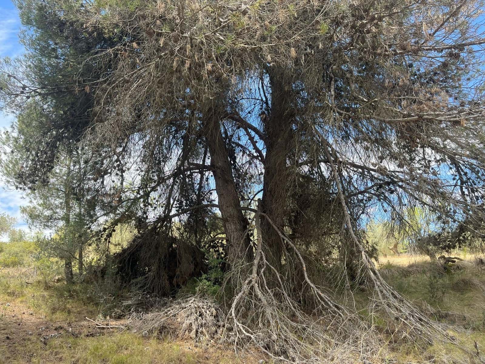 Finca/Herregård til salgs i Cretas - € 6 815 (Ref: 9150298)