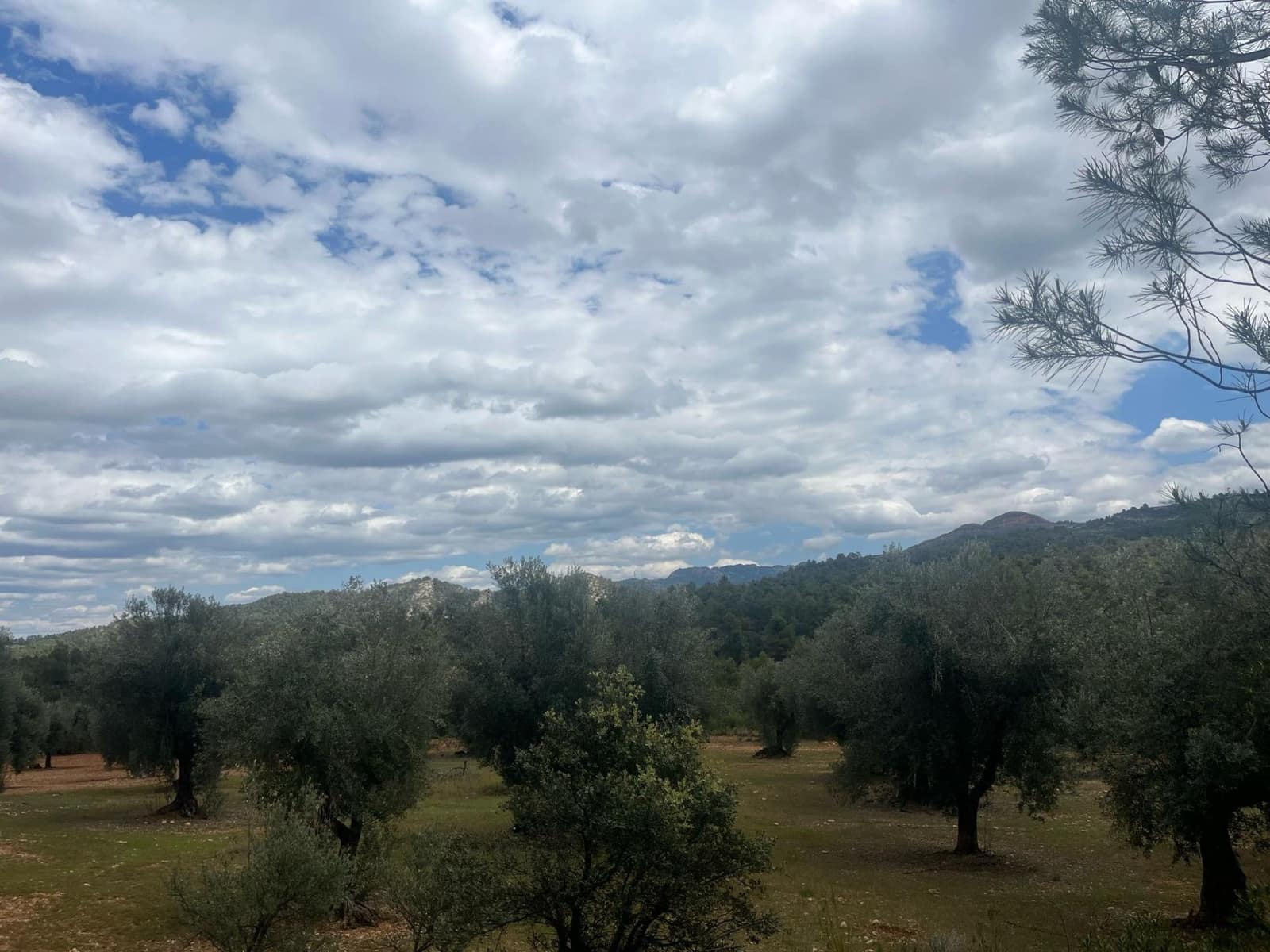 Finca/Herregård til salgs i Cretas - € 5 815 (Ref: 9150299)