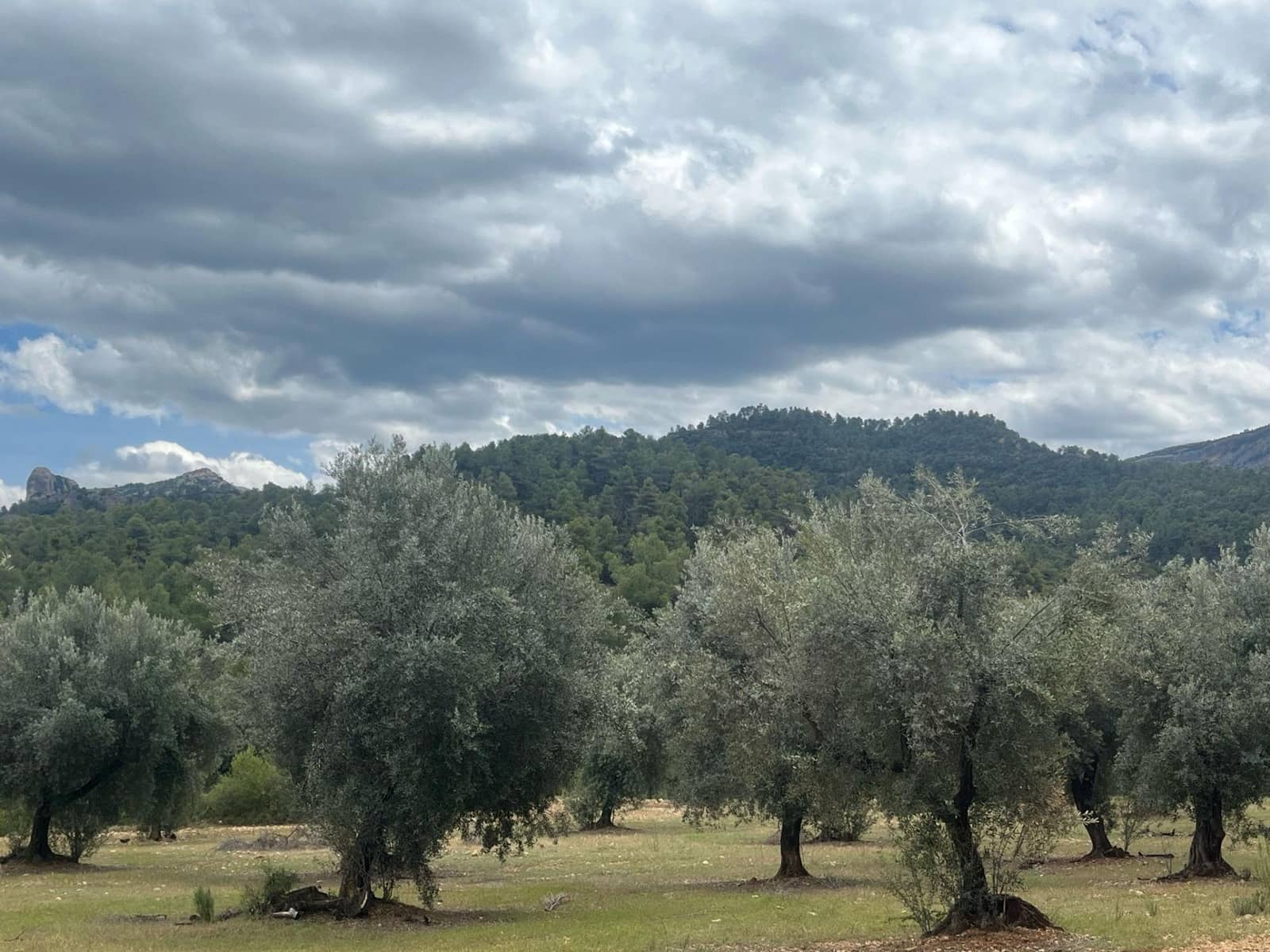 Finca/Herregård til salgs i Cretas - € 5 815 (Ref: 9150299)