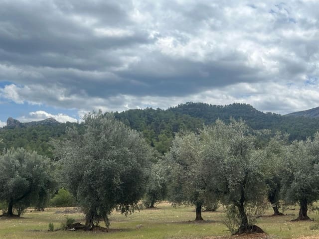 Finca/Landehus til salg i Cretas - € 5.815 (Ref: 9150299)