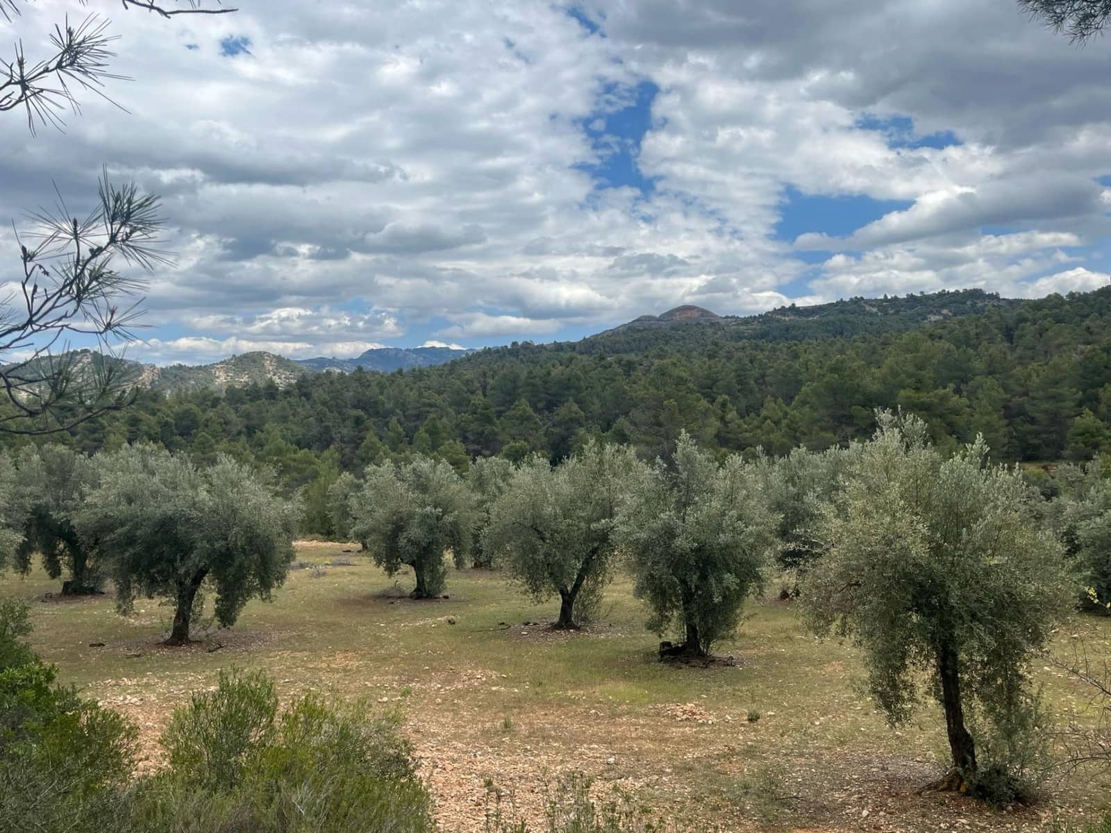 Finca/Herregård til salgs i Cretas - € 5 815 (Ref: 9150299)