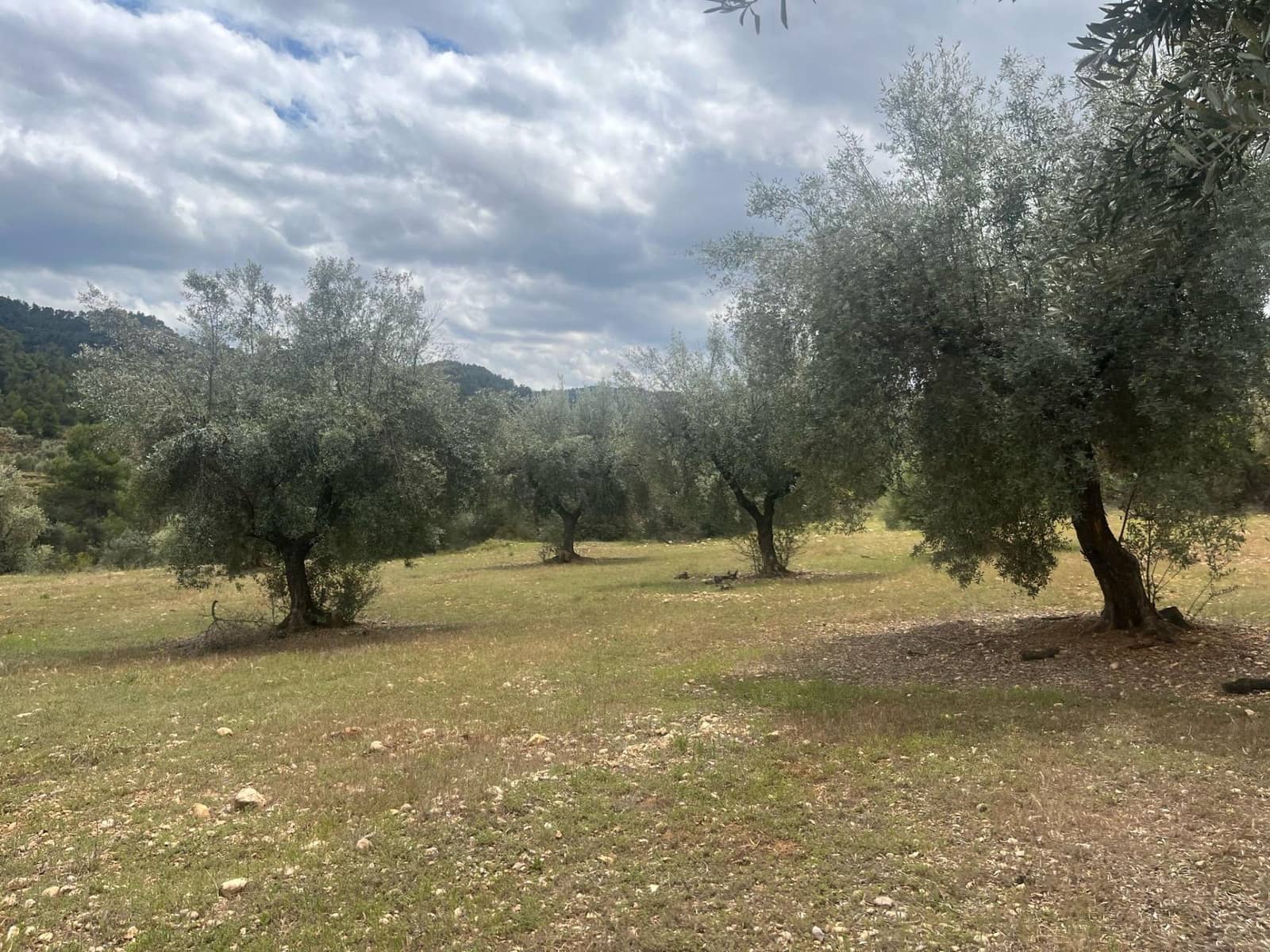 Finca/Herregård til salgs i Cretas - € 5 815 (Ref: 9150299)