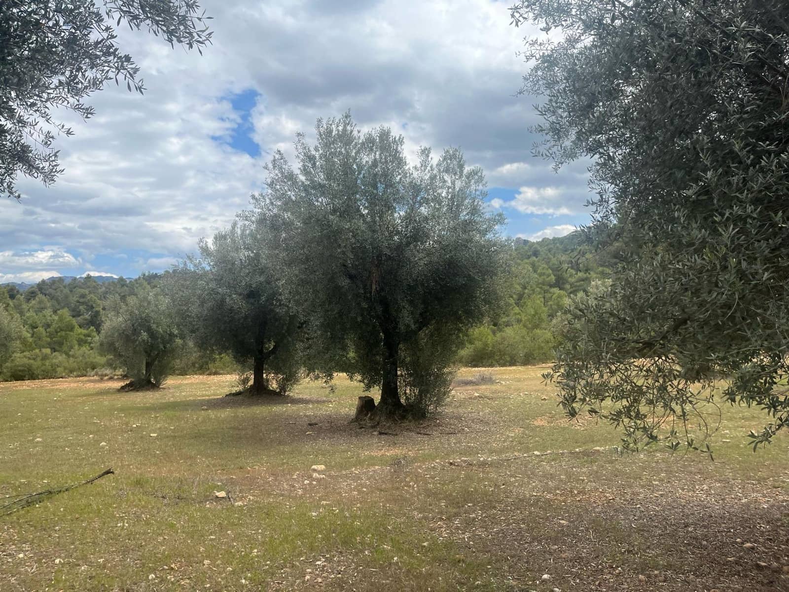 Finca/Herregård til salgs i Cretas - € 5 815 (Ref: 9150299)