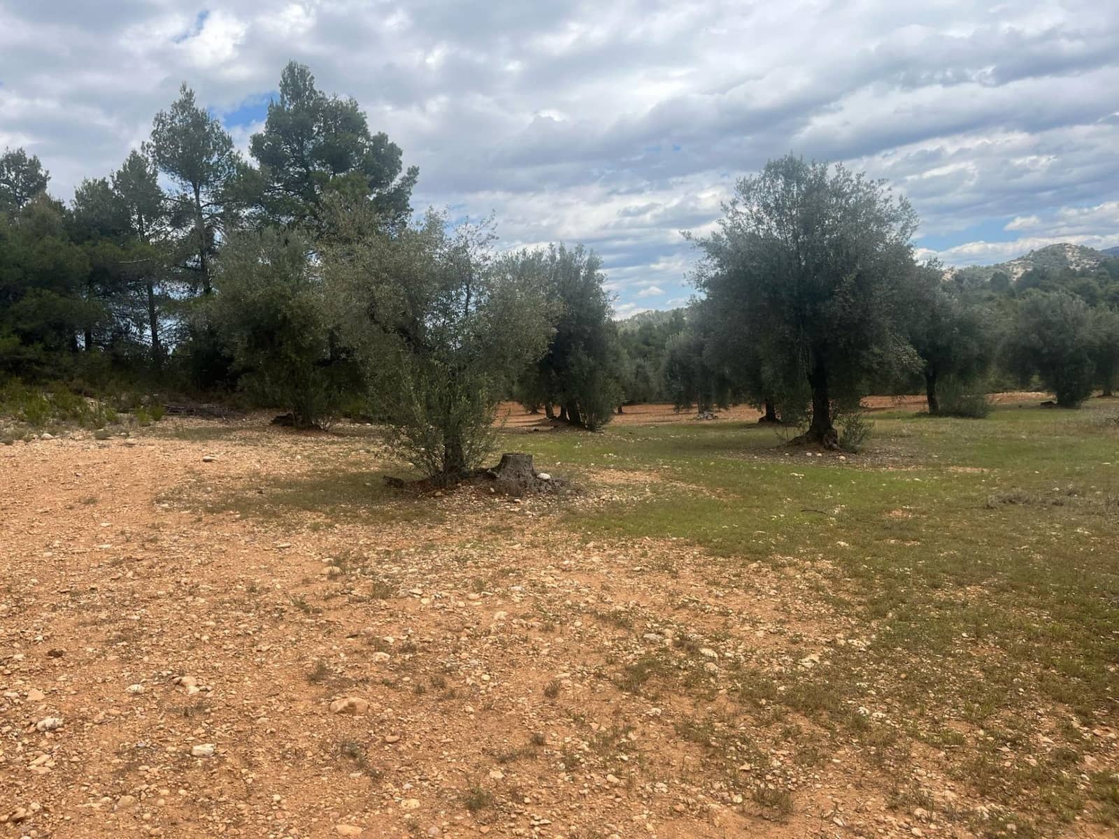 Finca/Herregård til salgs i Cretas - € 5 815 (Ref: 9150299)