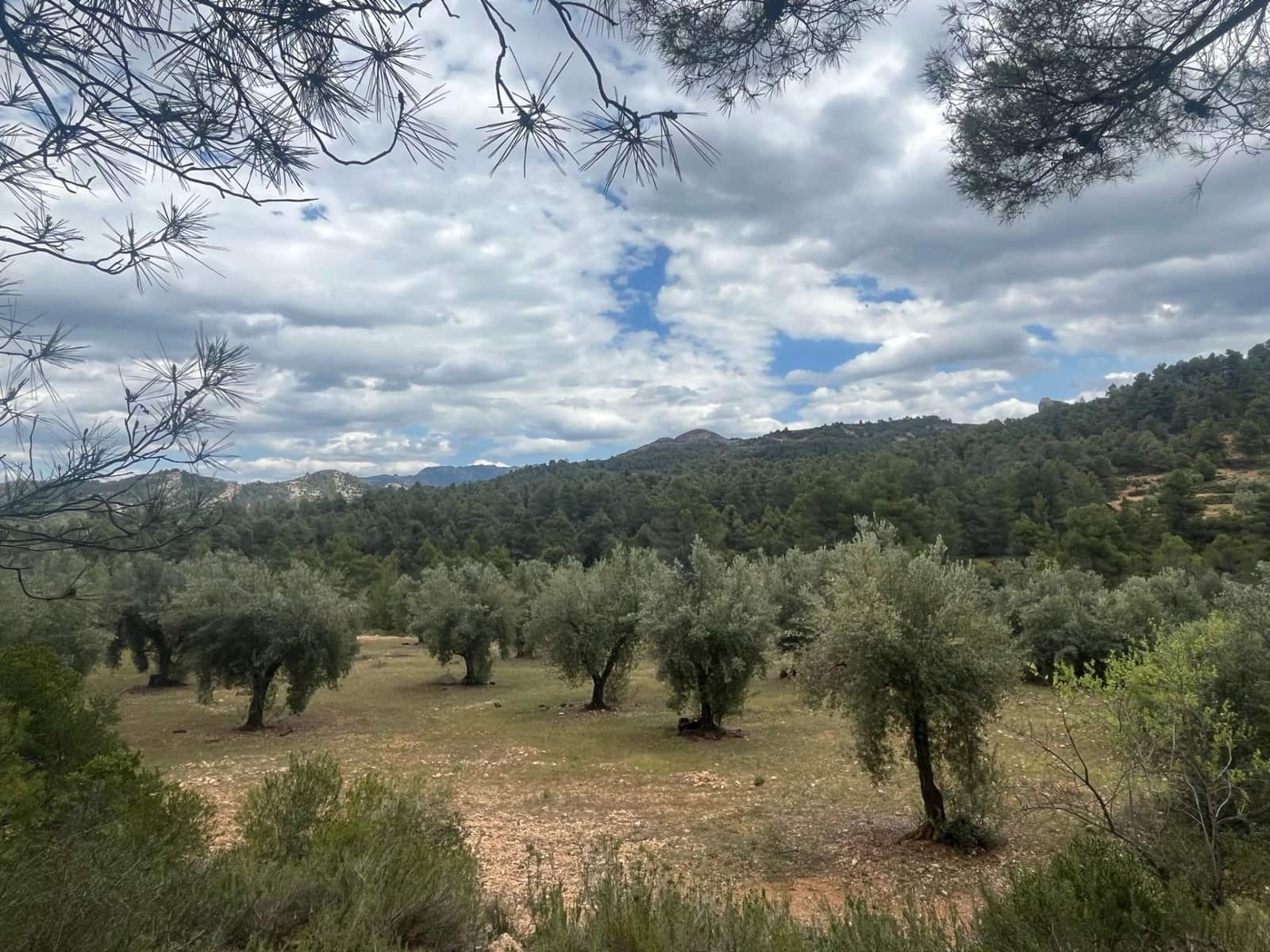 Finca/Herregård til salgs i Cretas - € 5 815 (Ref: 9150299)