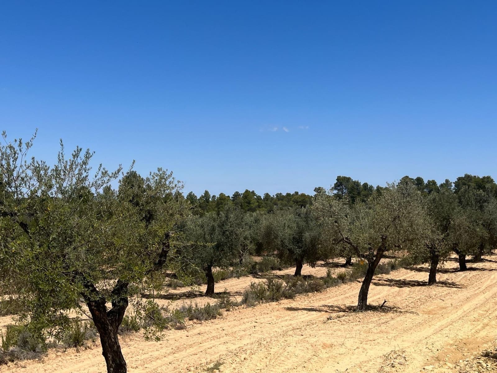 1 soveværelse Finca/Landehus til salg i Cretas - € 49.500 (Ref: 9150302)