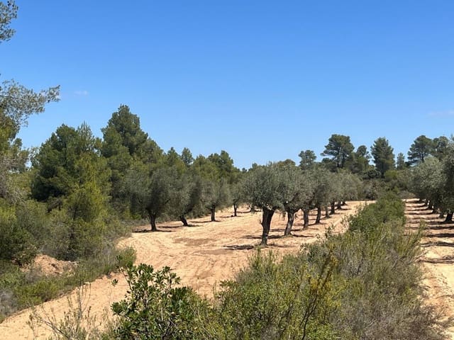 1 camera da letto Finca/Casa di Campagna in vendita in Cretas - 49.500 € (Rif: 9150302)