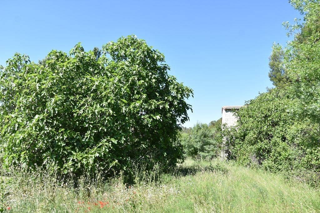 Finca/Landhuis te koop in Torre del Compte - € 75.000 (Ref: 9150305)