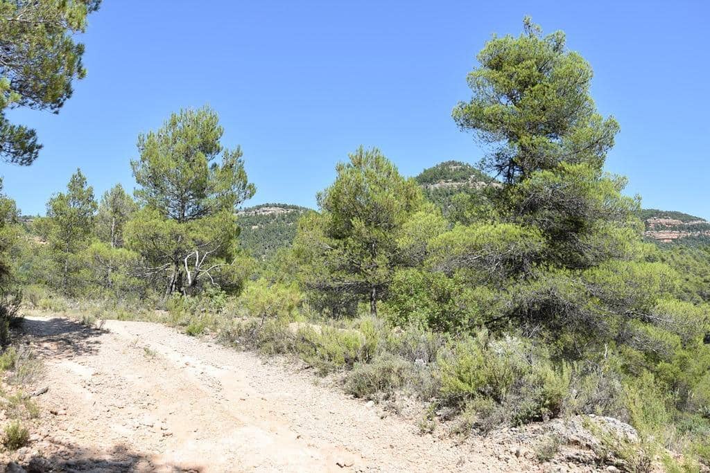 Quinta/Casa Rural para venda em Fuentespalda - 14 500 € (Ref: 9150310)