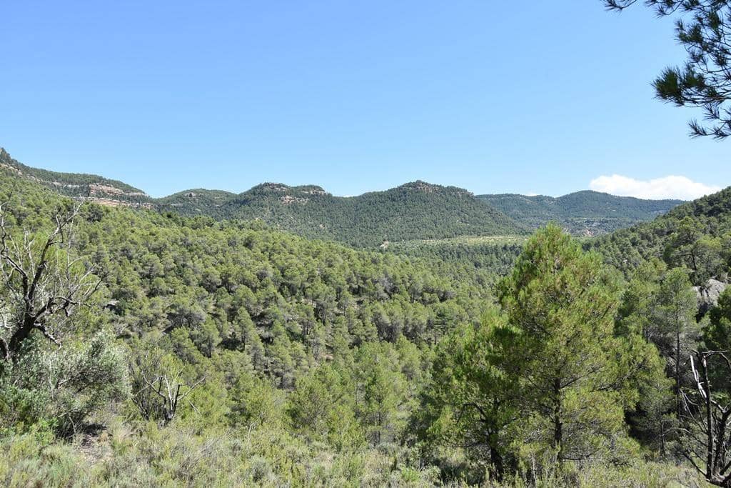 Quinta/Casa Rural para venda em Fuentespalda - 14 500 € (Ref: 9150310)